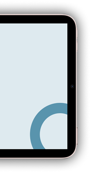 iPad Mini